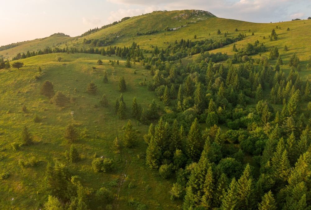 Focus on pilot municipalities: Ilirska Bistrica